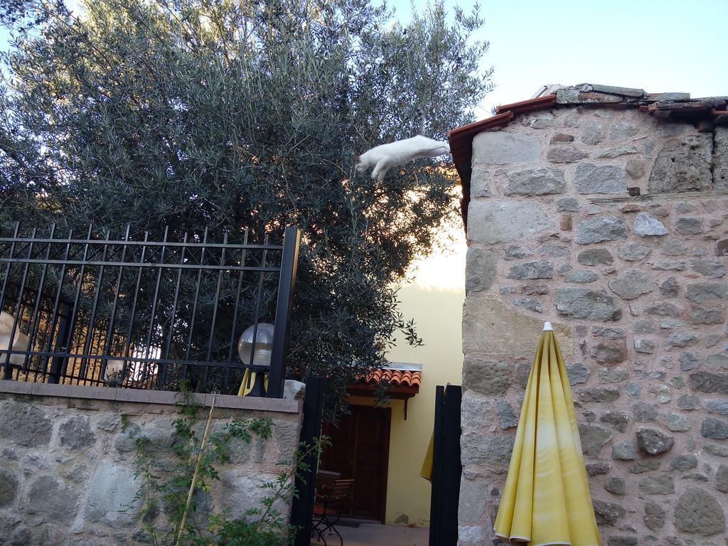Aristonicus Boutique Hotel Бергама Экстерьер фото